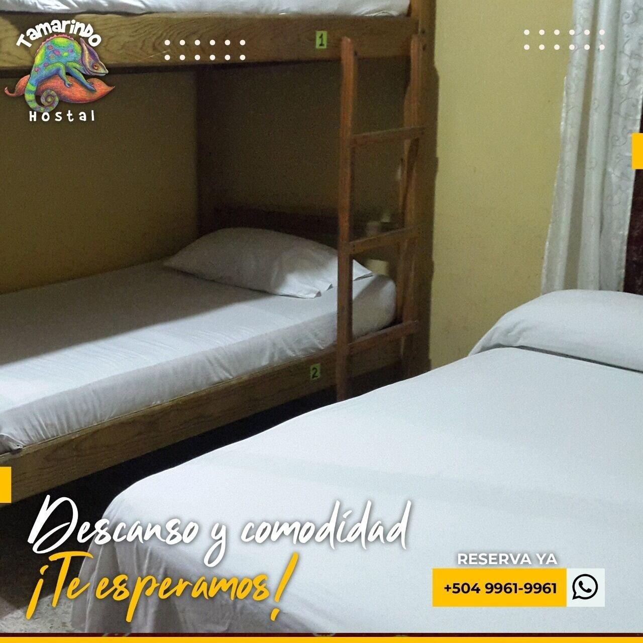 Tamarindo Hostel Сан Педро Сула Екстериор снимка