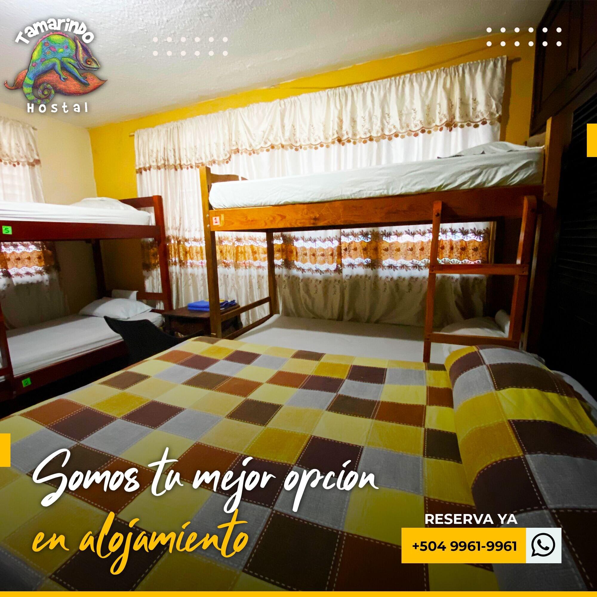 Tamarindo Hostel Сан Педро Сула Екстериор снимка