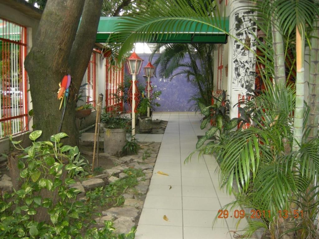 Tamarindo Hostel Сан Педро Сула Екстериор снимка