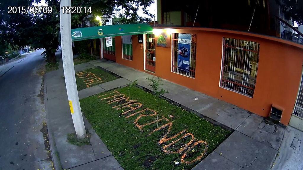 Tamarindo Hostel Сан Педро Сула Екстериор снимка